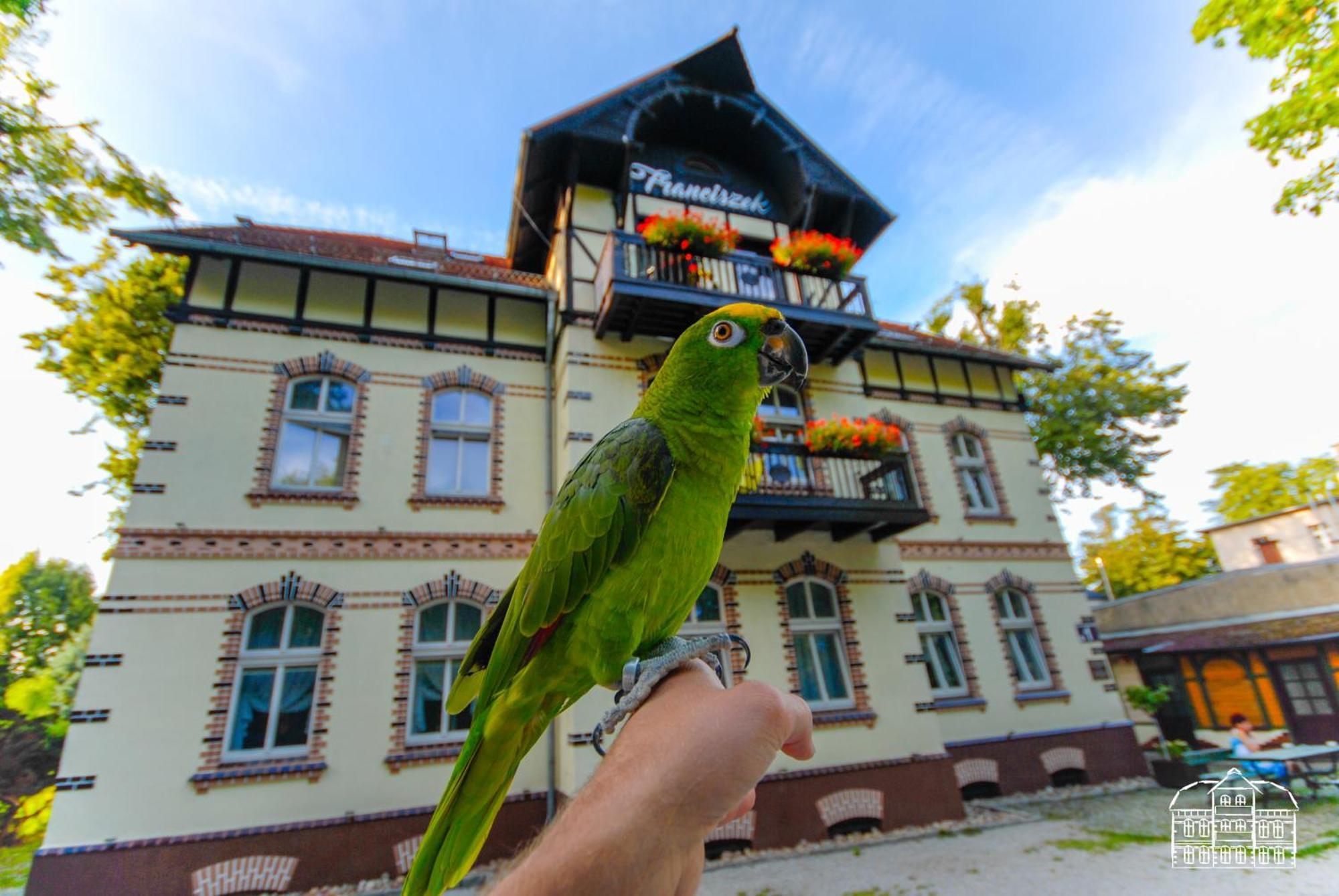 Apartamento Franciszek Przy Parku Szwedzkim Szczawno-Zdroj Exterior foto