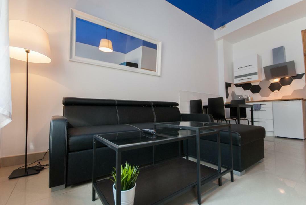 Apartamento Franciszek Przy Parku Szwedzkim Szczawno-Zdroj Exterior foto