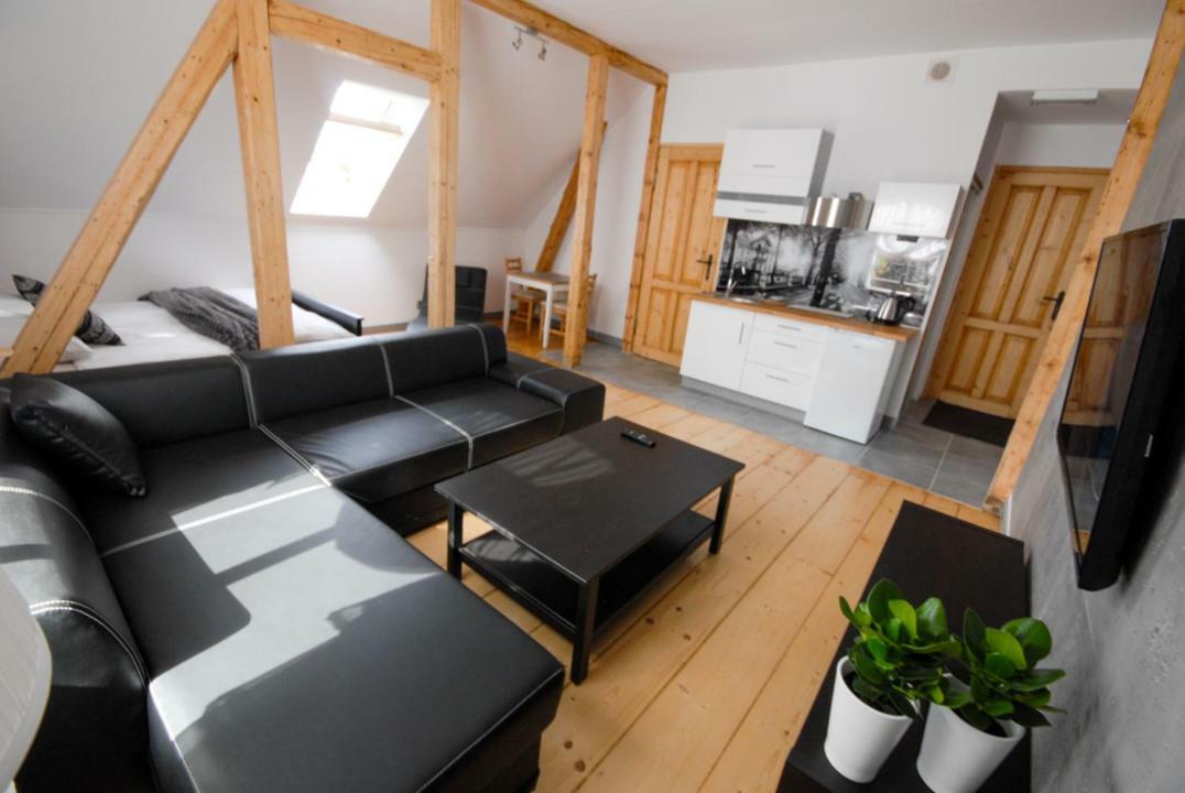 Apartamento Franciszek Przy Parku Szwedzkim Szczawno-Zdroj Exterior foto